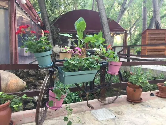 Апарт-отель Molino Galan